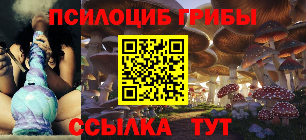 Псилоцибиновые грибы GOLDEN TEACHER  Вход с VPN  Калуга 